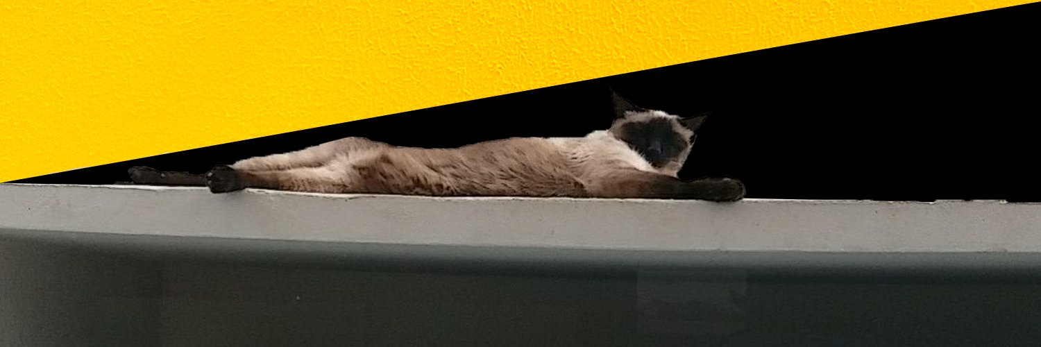 Leokoten's profile banner image