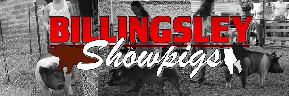 lbshowpigs's profile banner image