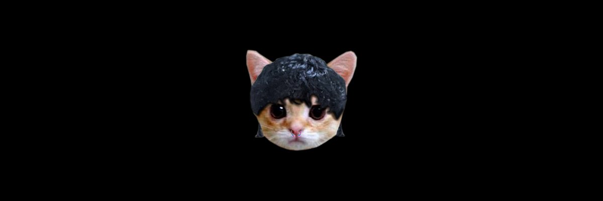 robertzam3's profile banner image