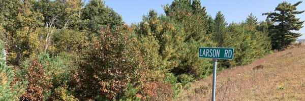 PineCityScrap Profile Banner