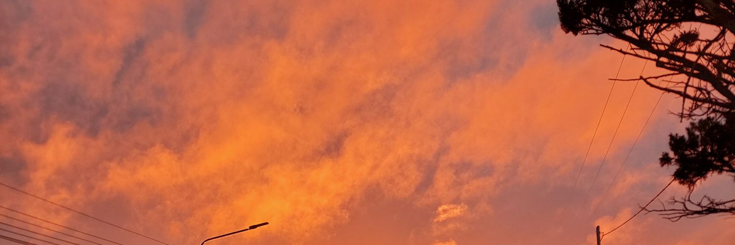 macarenaoli16's profile banner image