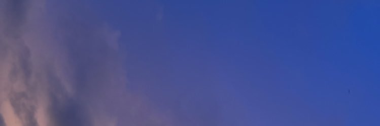 akkocrabia's profile banner image