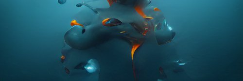AlexBond5's profile banner image