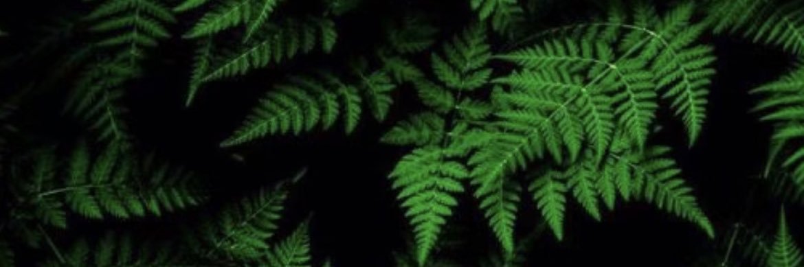 S. banner