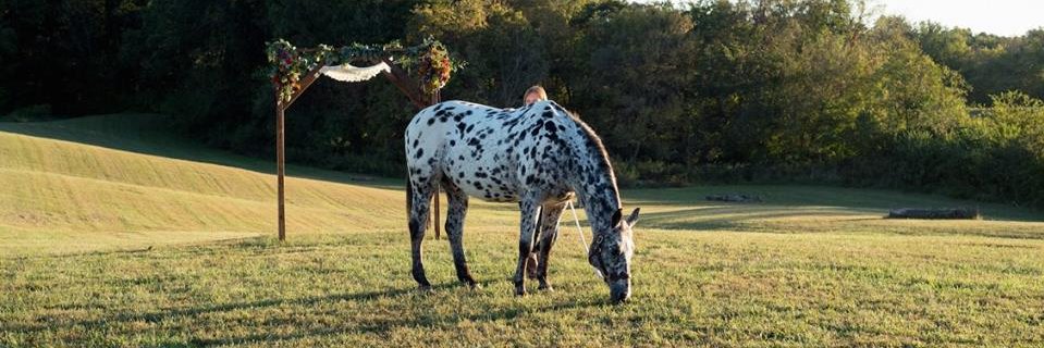 SaraEBaker1's profile banner image
