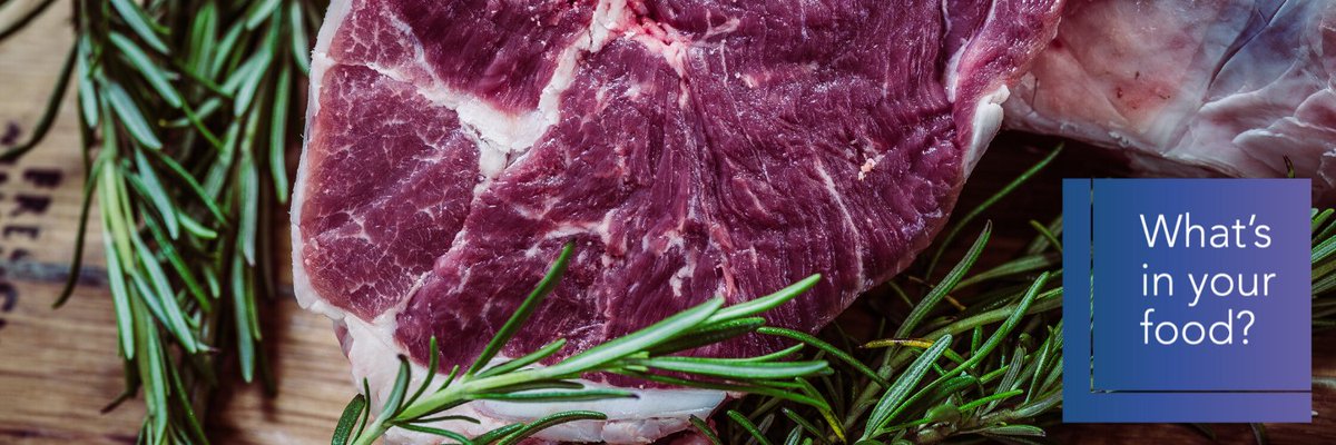 P&P Optica Inc. banner