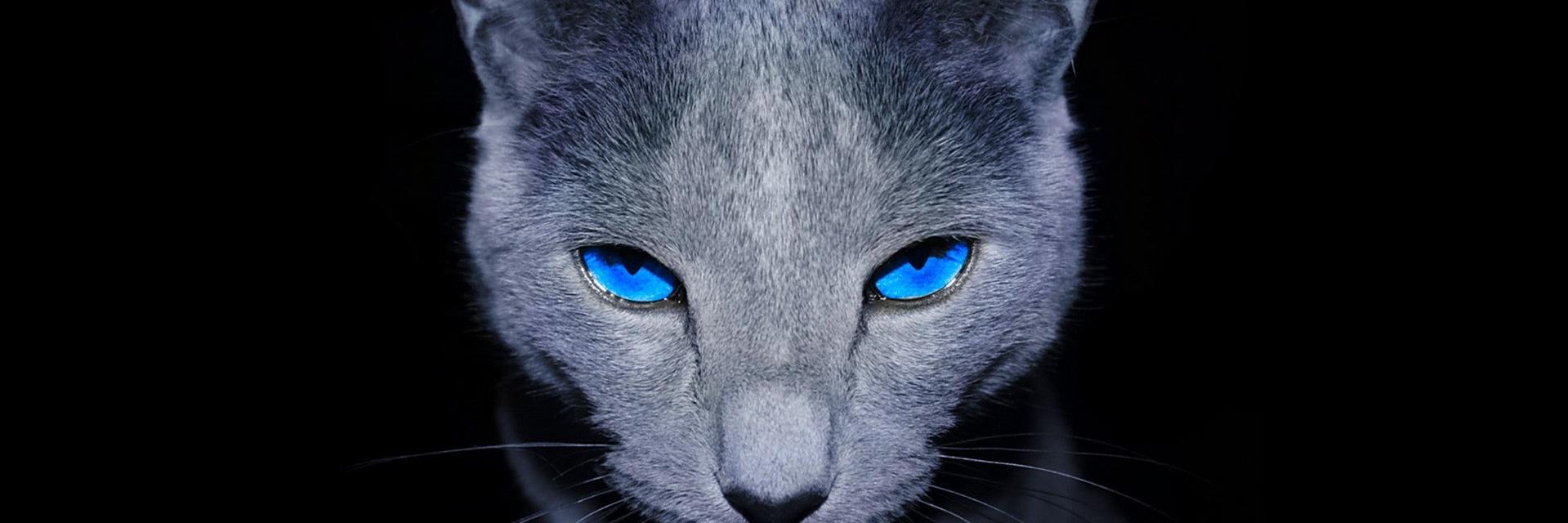 triian's profile banner image