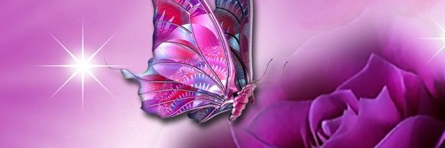 MonicaGjesdal's profile banner image