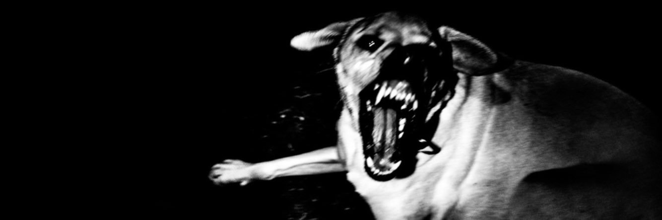 ADA_Bruhz's profile banner image