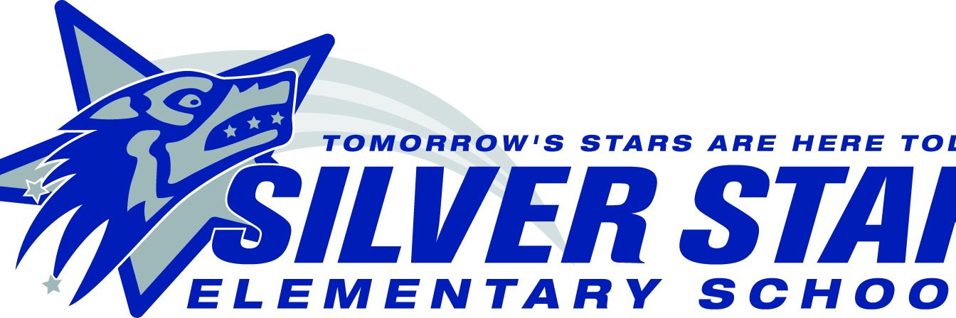 Silver Star Elem banner