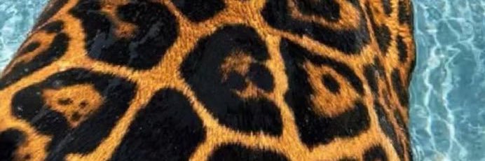 kdoggg56's profile banner image