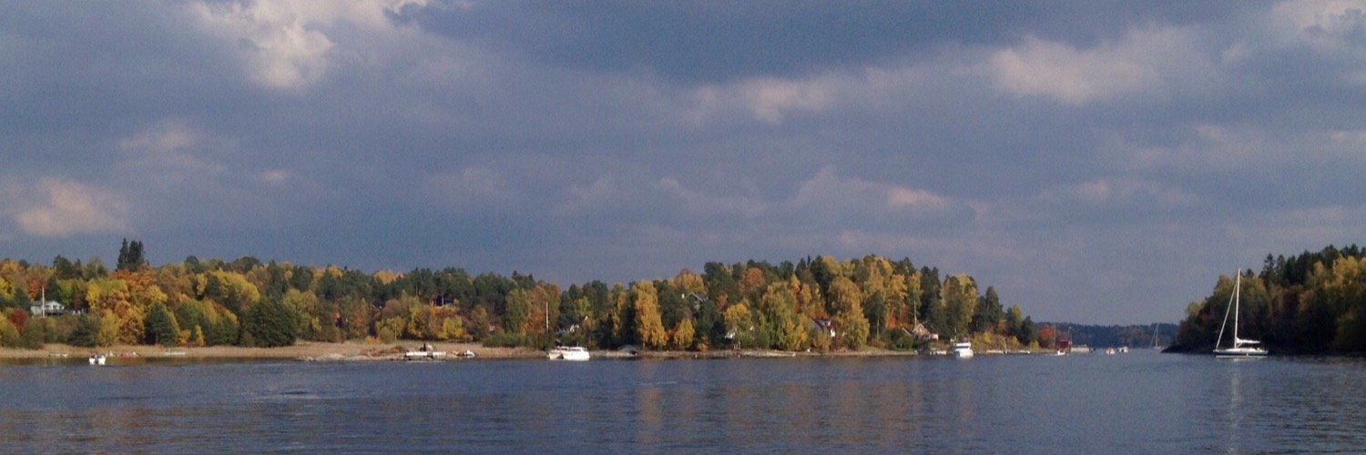 Sverre W. Hartmann banner