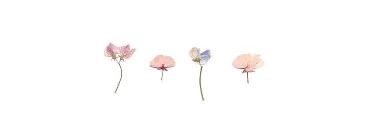 cinarayse_'s profile banner image