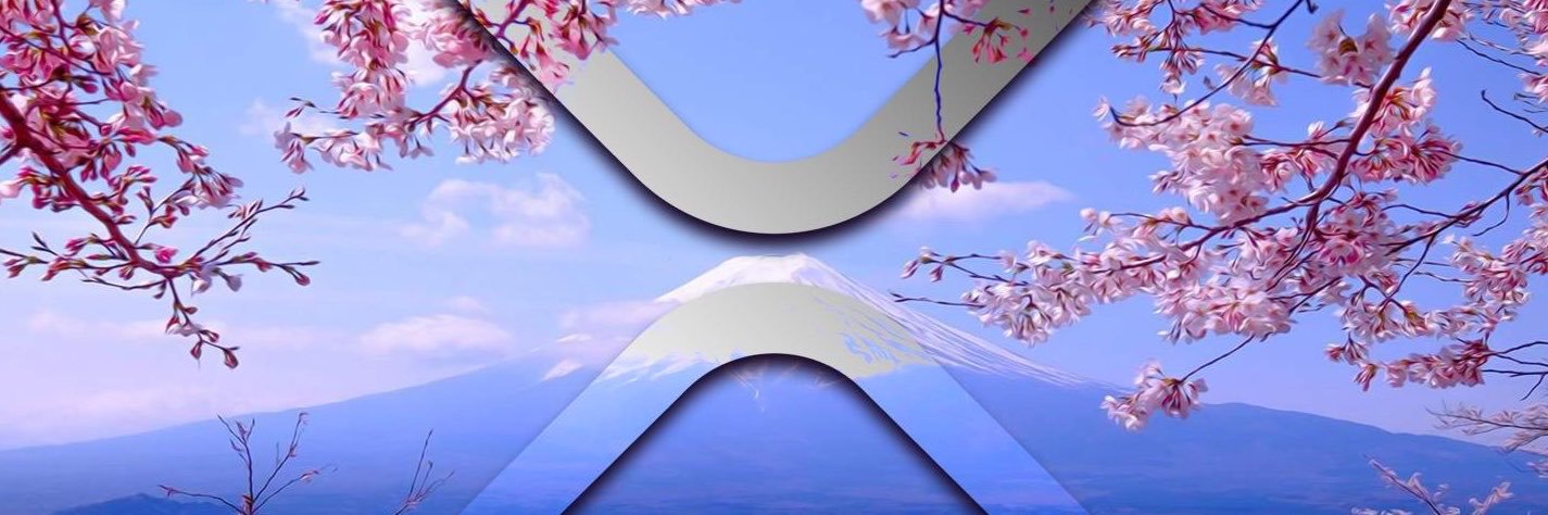 sentto_sumosaba's profile banner image
