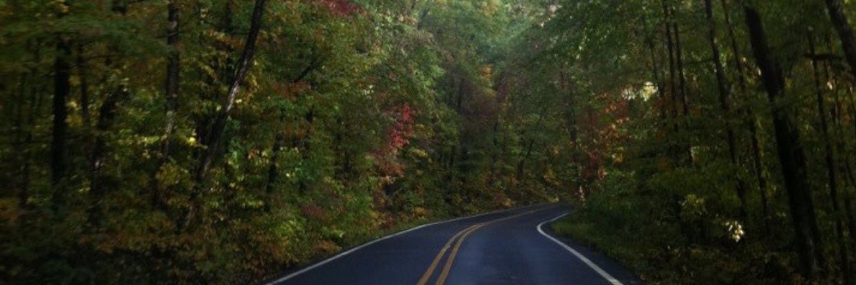 KimMcCubbin1's profile banner image
