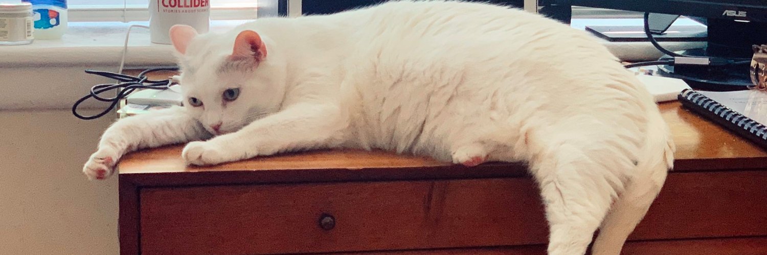 Jonathan Lambert banner