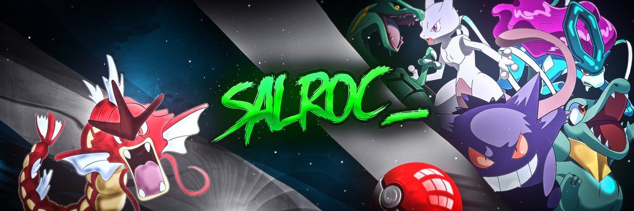 Salroc_ banner