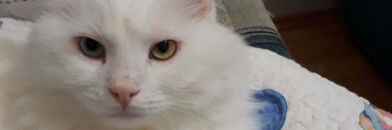 tugbakcer's profile banner image