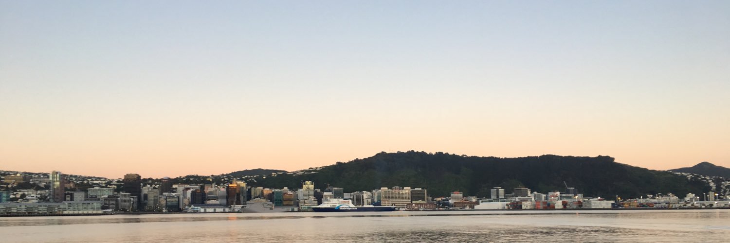 tokenmaori's profile banner image