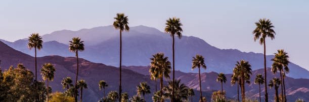 Bailey Patrick banner