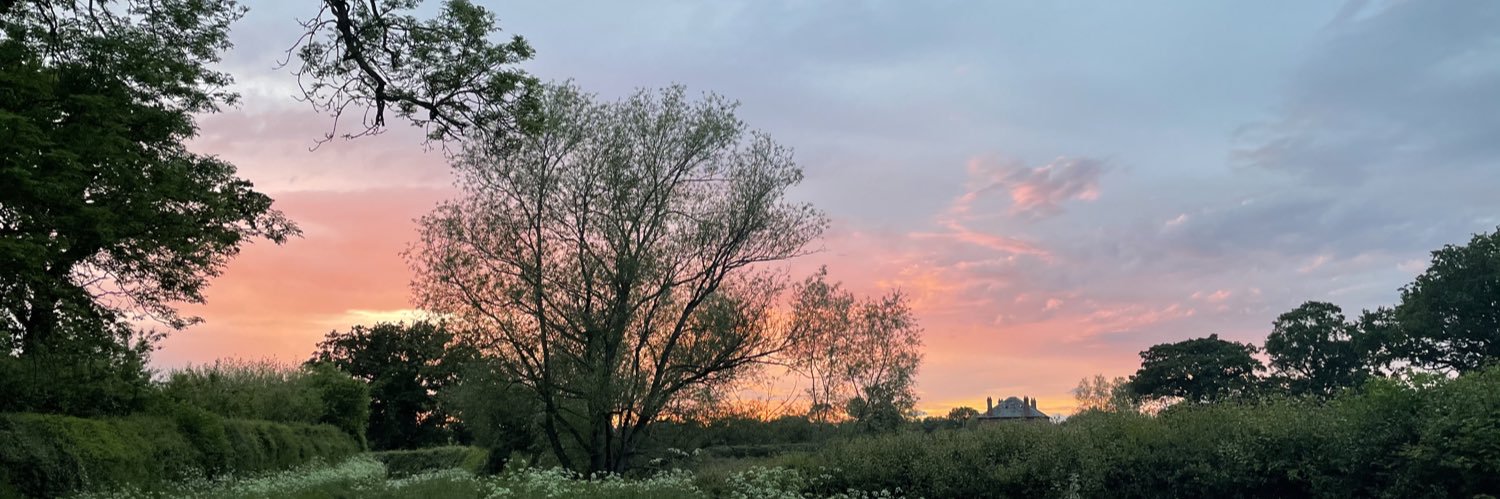 harryevo80_'s profile banner image