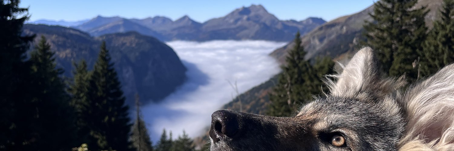 rst_riom's profile banner image
