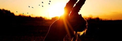 MarianneJ's profile banner image