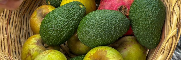 capitanpatera Profile Banner