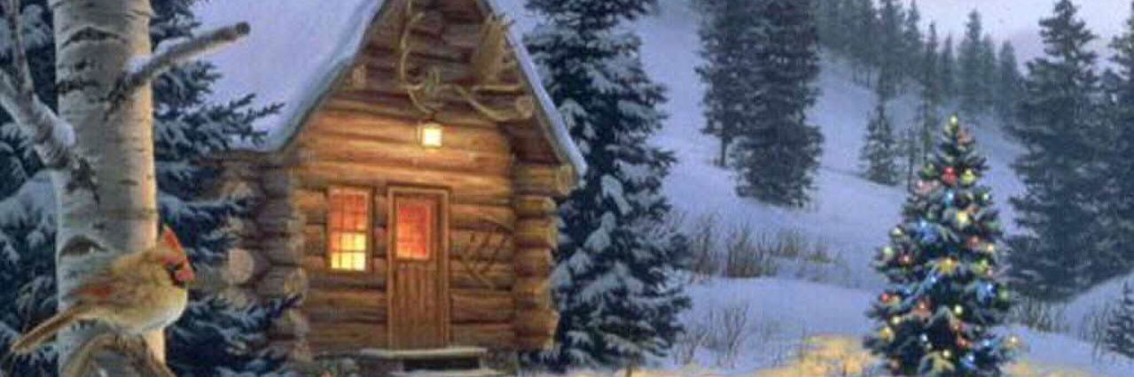 DeviesPlace's profile banner image