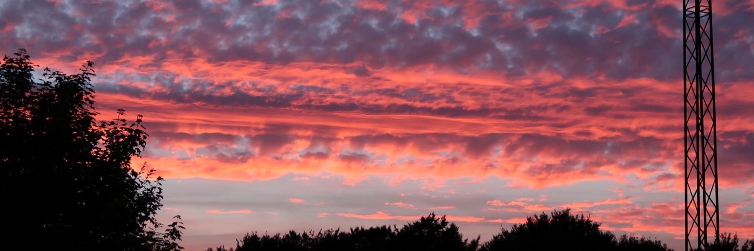 Phil W🇩🇰(🇬🇧)🇪🇺 banner