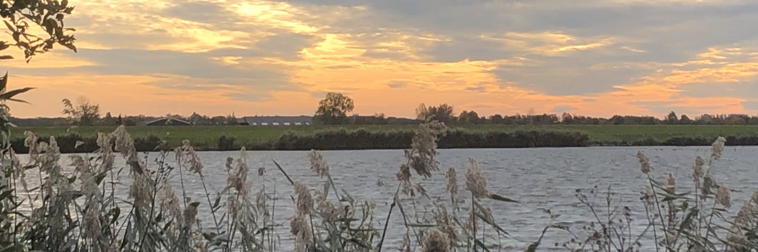 Beatrix Willemsen banner