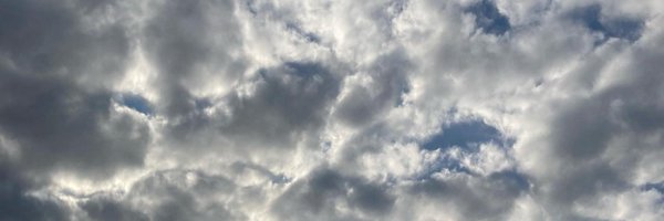 monicasflores Profile Banner