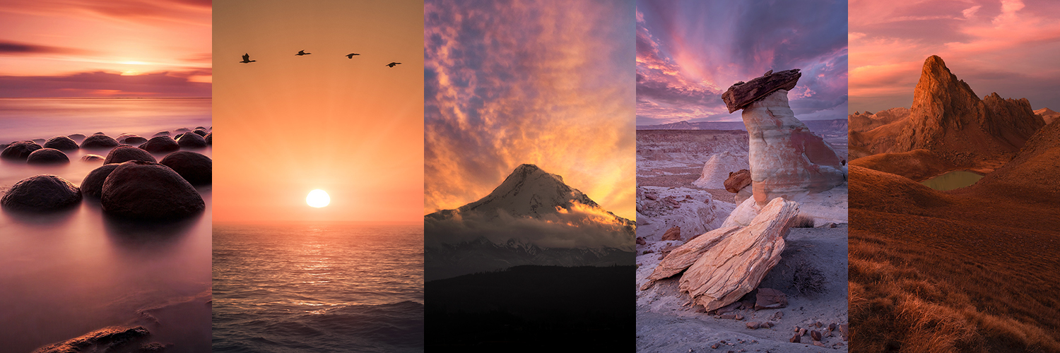 Casey McCallister banner