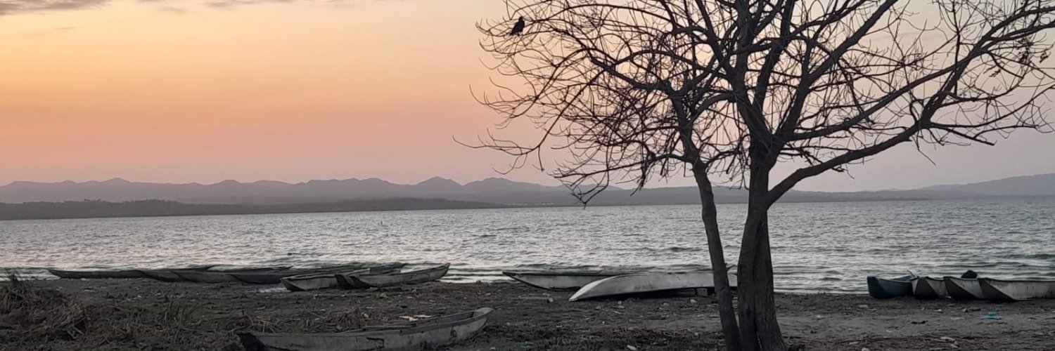 VargaIsabel's profile banner image
