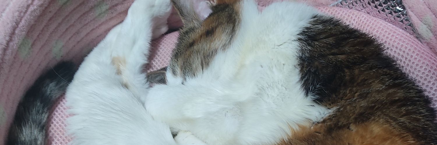 keto210's profile banner image