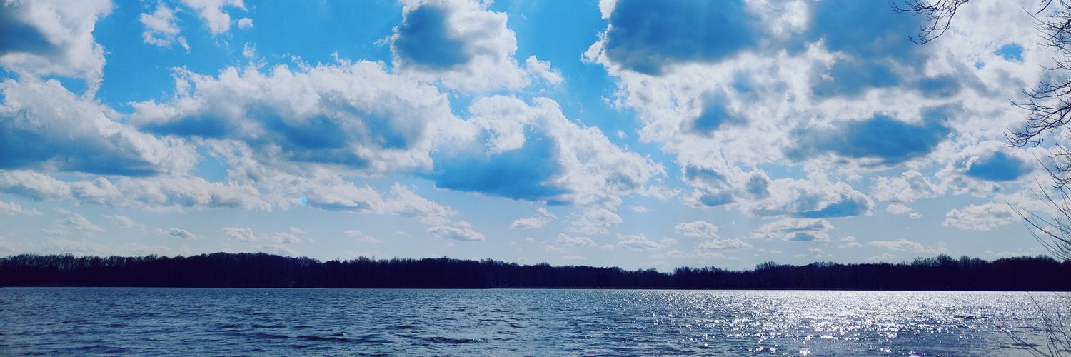 _lys_xf's profile banner image
