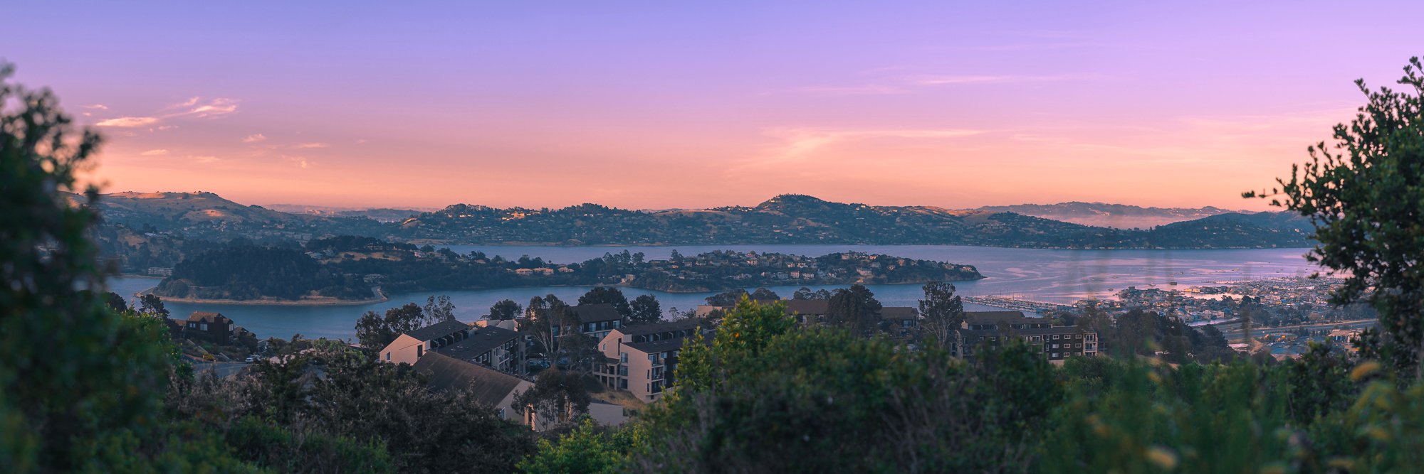 Daria Dubinina banner