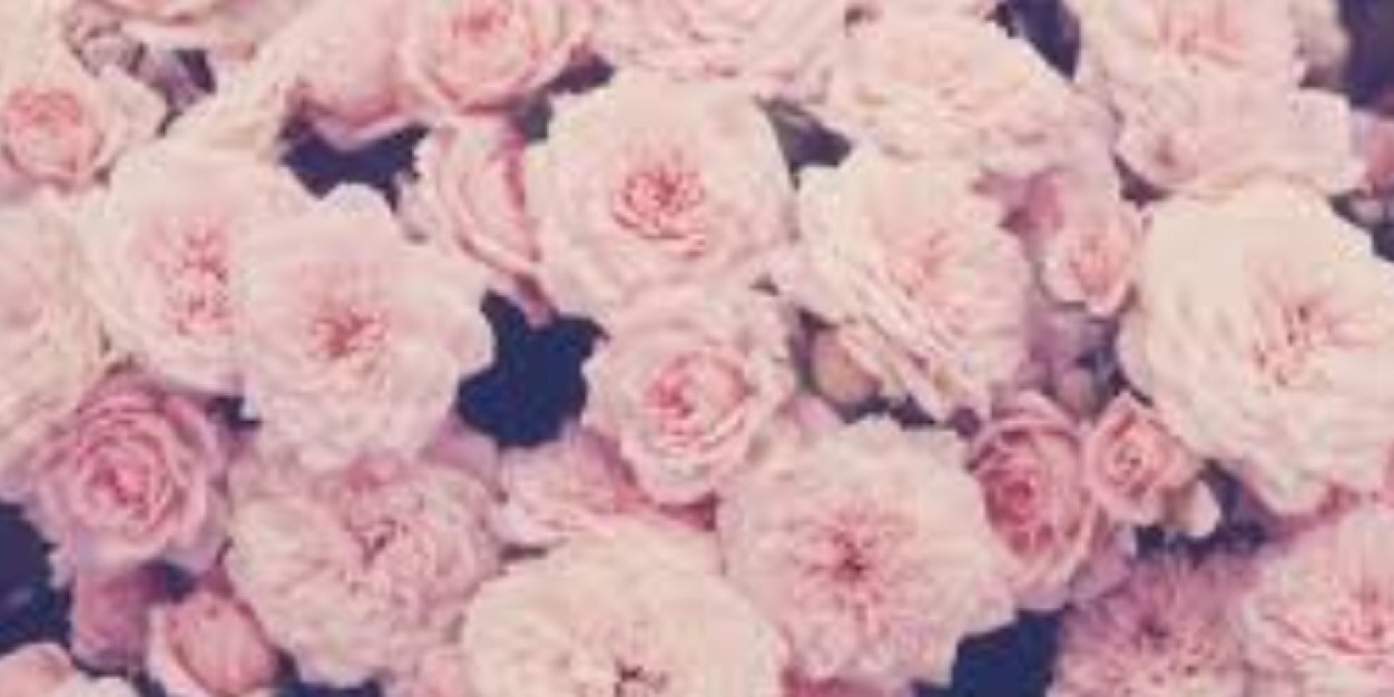 avaa_nicole's profile banner image