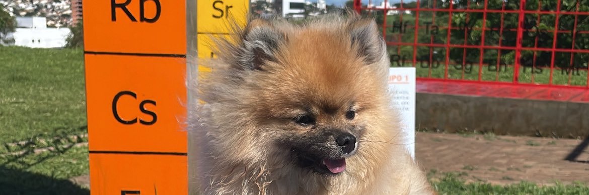 RodolfoVctor1's profile banner image