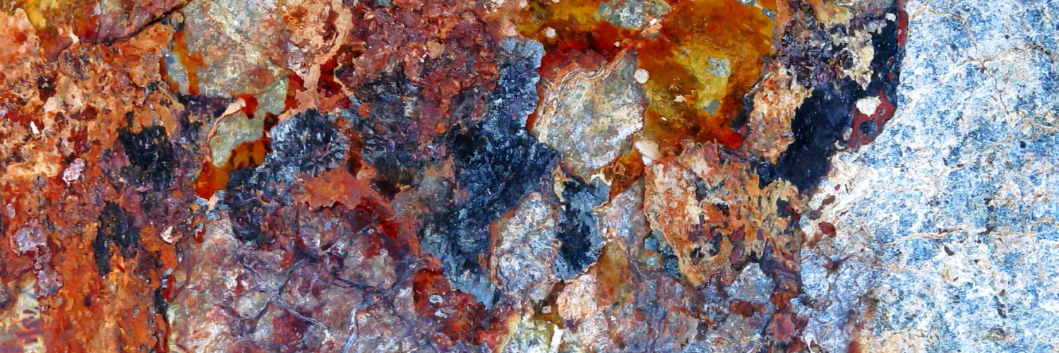 Claire Ogden (Saltdragon) banner