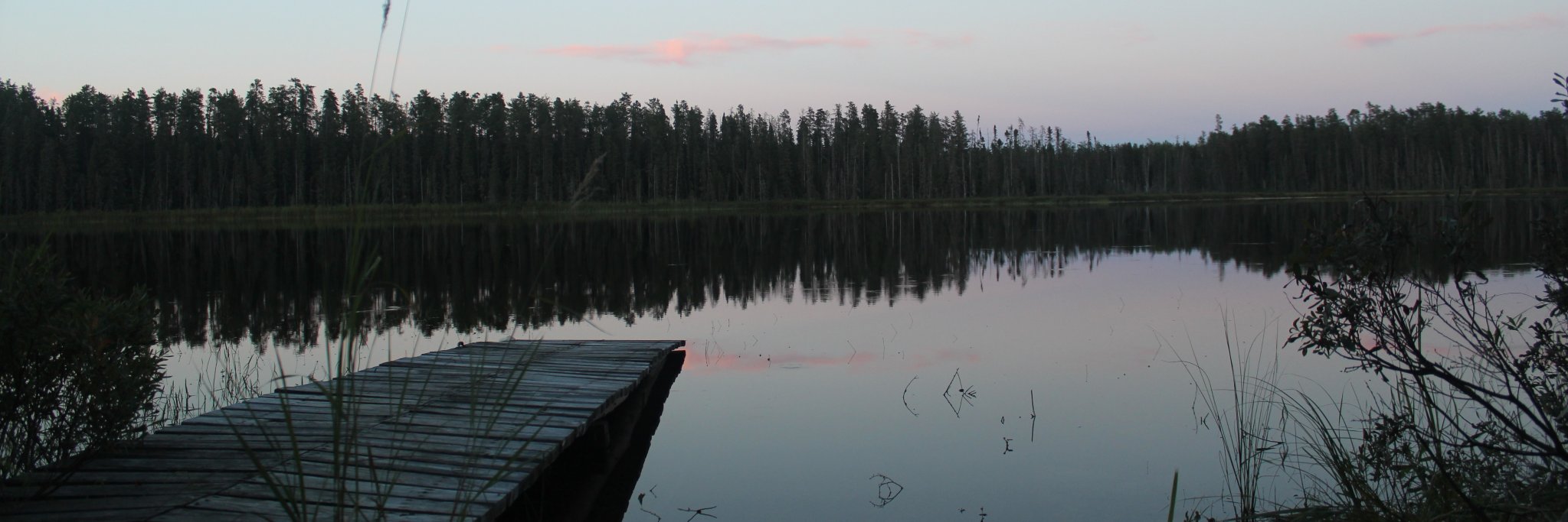 A🩸Eh🩸ron🩸Nolet banner