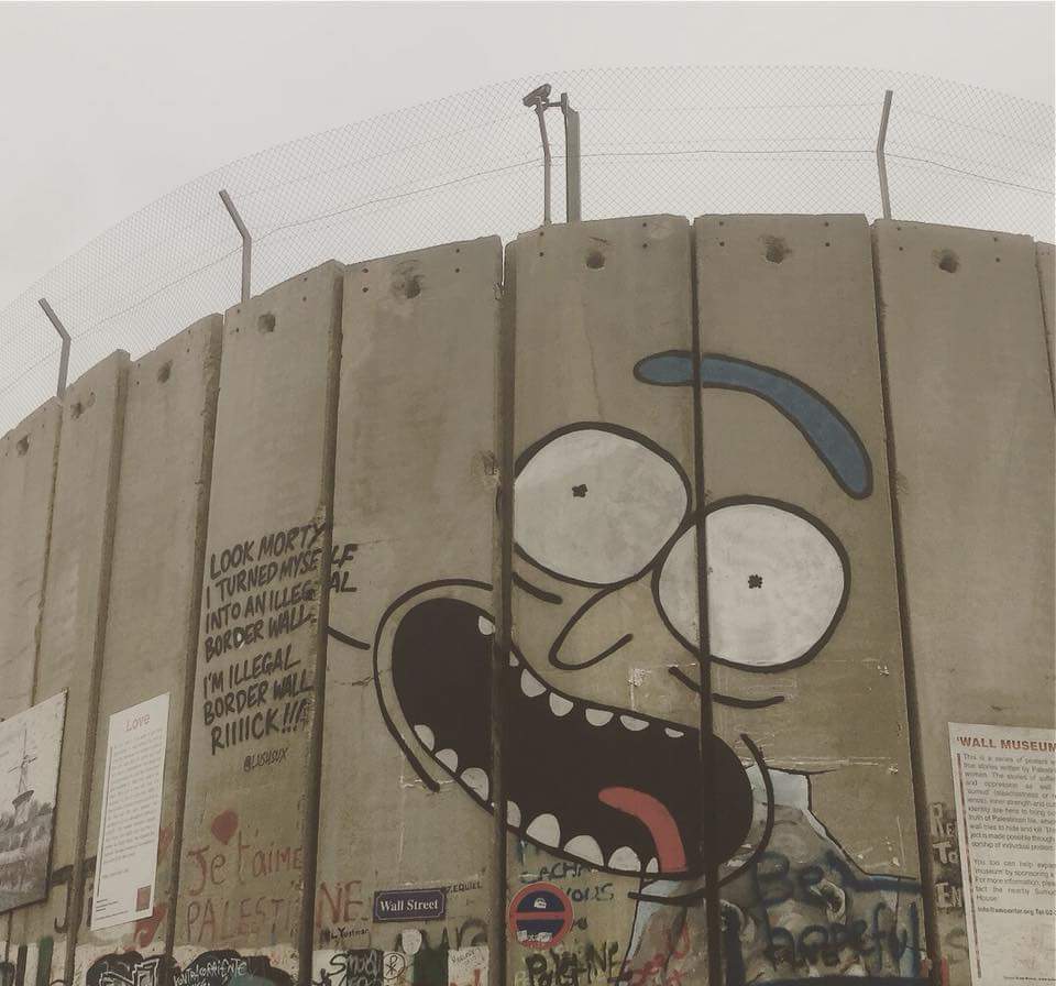 BaertigerBernd banner