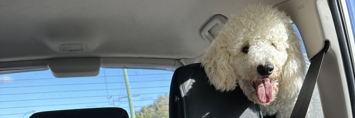 karestma's profile banner image