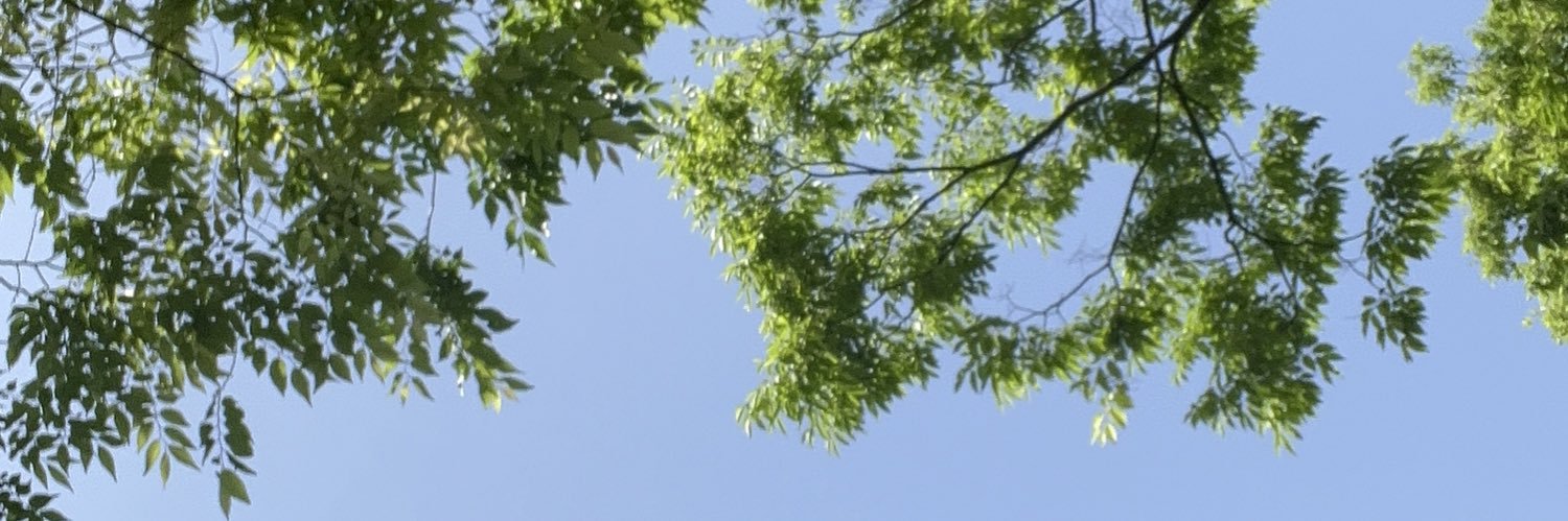 suu529_'s profile banner image