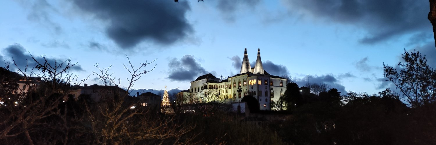 Luís Marnoto banner