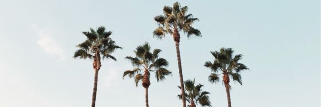 foreverErin96's profile banner image
