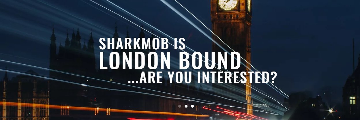 James Dobrowski banner