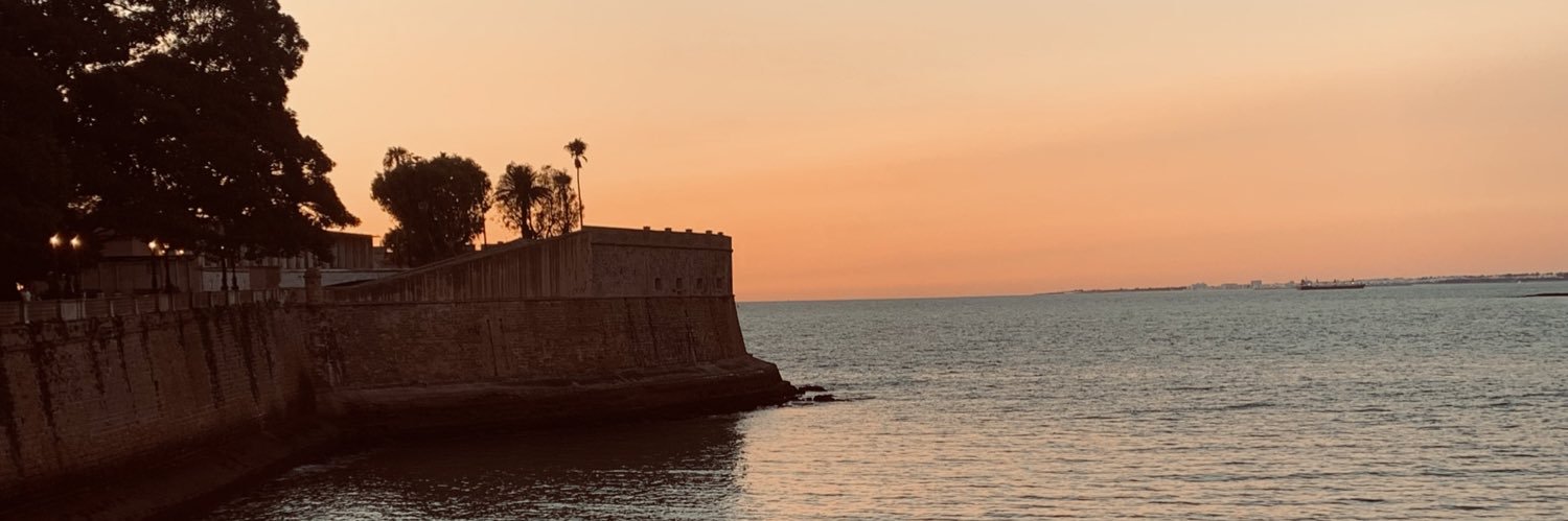 iRobe17's profile banner image