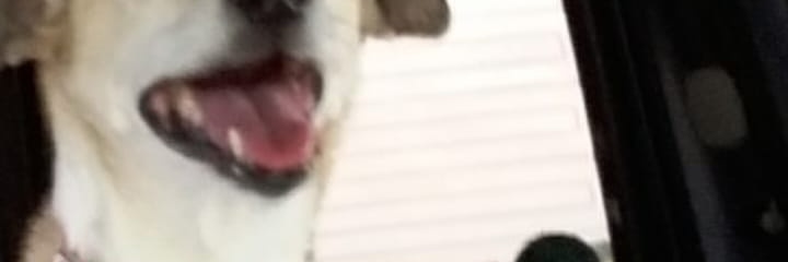 ELLLANERO22's profile banner image