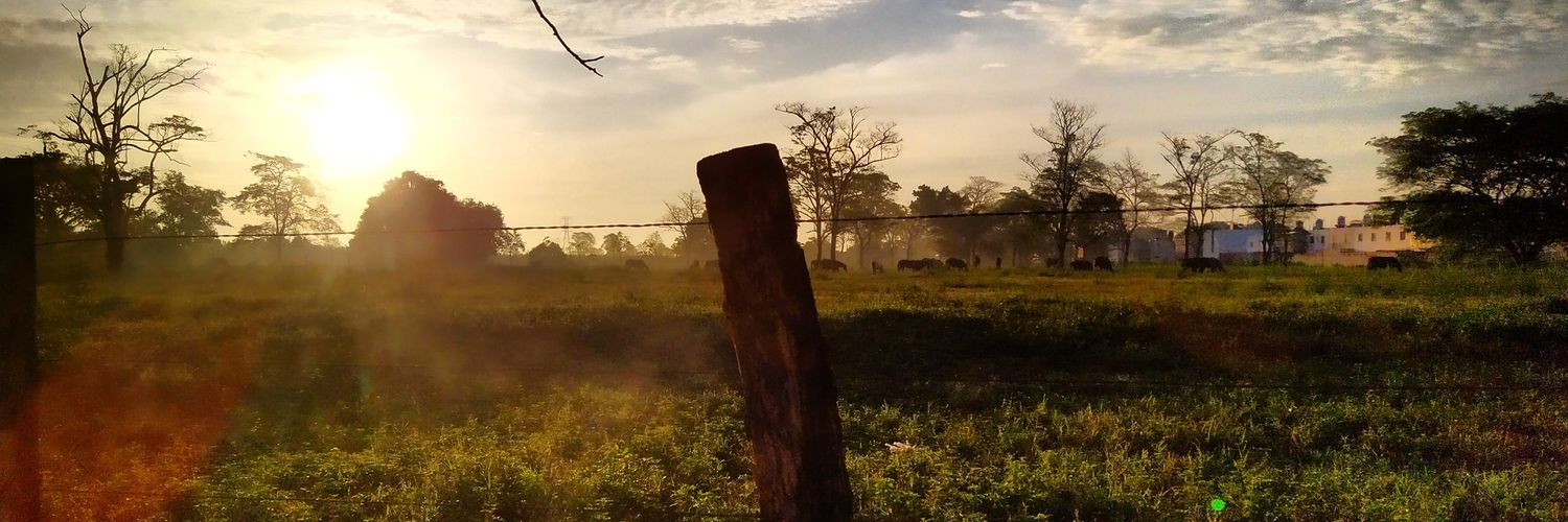 BeibiRuth Acalorada banner